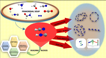 Graphical abstract: Cooperative many-body interactions and spectroscopic signatures in (HCN)n and (HNC)n clusters up to n = 15