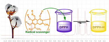 Graphical abstract: Structure, tautomerism, and radical scavenging activity of Schiff bases and hydrazones of gossypol