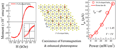 Graphical abstract: Coexistence of ferromagnetism and enhanced photo-response in Fe-doped SnSe2 single crystals