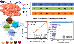 Graphical abstract: Screening copper-based single-atom alloy catalysts for electrochemical nitrogen reduction