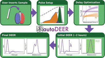 Graphical abstract: Towards full optimisation of automated double electron–electron resonance spectroscopy