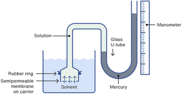 Graphical abstract: Measuring the Gibbs free energy of mixing using the concept of an osmotic engine