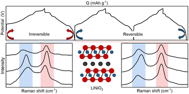 Graphical abstract: Multicycle operando Raman spectroscopy reveals reversible and irreversible transitions in LiNiO2 electrodes