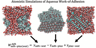 Graphical abstract: Predicting polyacrylate–microplastic interactions with atomistic simulation