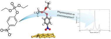 Graphical abstract: Organophosphate ethyl paraoxon on Ag and Au surfaces: a density functional theory perspective