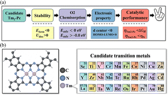 Graphical abstract: Systematic screening of transition metal dual-atom-doped phthalocyanine electrocatalysts for the oxygen reduction reaction