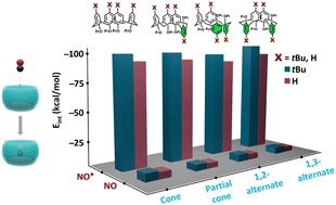Graphical abstract: Host–guest interaction of NO and NO+ species with calixerenes: dissecting the impact of conformational and confinement effects