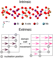 Graphical abstract: Deciphering the potential piezoelectricity optimization mechanism in Aurivillius compounds