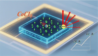 Graphical abstract: Theoretical insight into the unique dual roles of Li doping in switching magnetic anisotropy and enhancing Curie temperature in CoCl3 monolayers