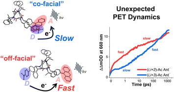 Graphical abstract: Unexpected dynamics of peptoid-conjugated dyad systems: ultrafast photoinduced electron transfer in off-facial arrangement