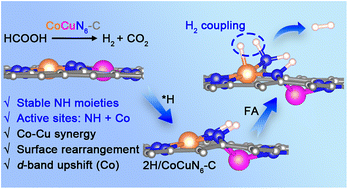 Graphical abstract: Beyond metal-centric catalysis in dual-atom catalysts: bridge N sites drive dehydrogenation via Co–Cu synergy