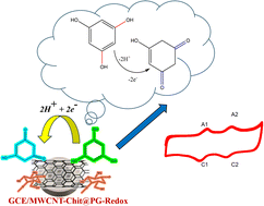 Graphical abstract: Designing in situ nanostructured MWCNT-phloroglucinol modified webs for electrochemical-based dual screening of stress biomarkers