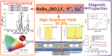 Graphical abstract: High quantum yield luminescence and magnetic properties of NaBa12(BO3)7F4 phosphors