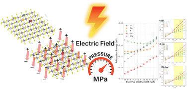 Graphical abstract: Enhancing hydrogen adsorption on SnS2 and SnSe2 monolayers: alkali and alkaline earth metal decoration under external electric fields