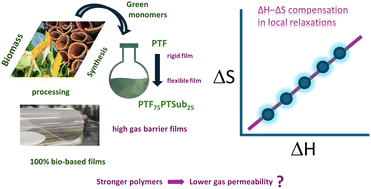 Graphical abstract: Dynamics in renewable sourced random poly(trimethylene 2,5-furanoate-co-trimethylene suberate) copolymers: ambient-pressure fragility and compensation law in secondary relaxations