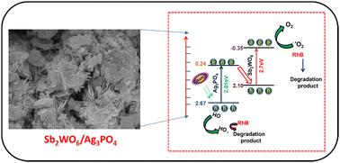 Graphical abstract: Development of a novel direct Z-scheme Sb2WO6/Ag3PO4 nanocomposite with sustainable design for simultaneous electrochemical detection of Pb2+ and photocatalytic degradation of RhB dye