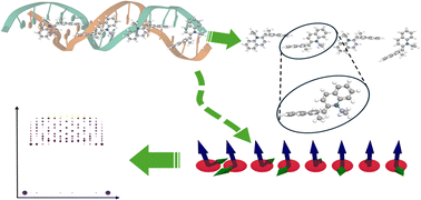 Graphical abstract: Enhancing energy transport utilising permanent molecular dipoles
