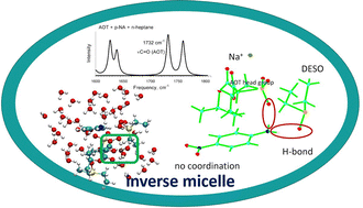 Graphical abstract: Competitive solvation of p-nitroaniline by water, diethyl sulfoxide, n-heptane, and AOT micelles