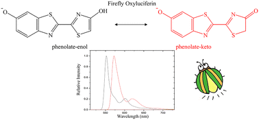 Graphical abstract: Combined influence of the QM methods, active space size, Franck–Condon approximation, Herzberg–Teller effect and Duschinsky effect on vibrationally resolved electronic spectra: insights from firefly oxyluciferin