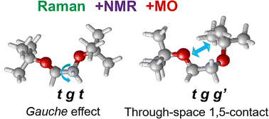 Graphical abstract: Conformational studies of 1,2-di-tert-butoxyethane with special attention to the gauche oxygen effect