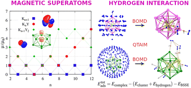 Graphical abstract: Yttrium-doped lithium and potassium clusters: magnetic superatoms and their interaction with hydrogen