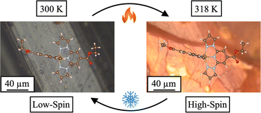 Graphical abstract: Investigating the kinetics of spin-crossover transitions using Raman spectroscopy