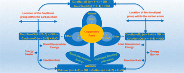 Graphical abstract: Kinetics and general reaction rules for hydrogen atom abstraction reactions from C4–C7 oxygenated fuels by hydroxyl radicals