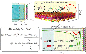 Graphical abstract: Molecular dynamics simulations of pH-dependent ciprofloxacin adsorption to Na-montmorillonite