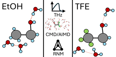 Graphical abstract: Perfluorinated alkyl groups induce unexpected hydrophobic hydration structure