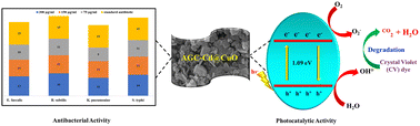 Graphical abstract: Activated graphite carbon-assisted cadmium-doped copper oxide nano catalyst for accelerated photocatalysis and desirable antibacterial activity