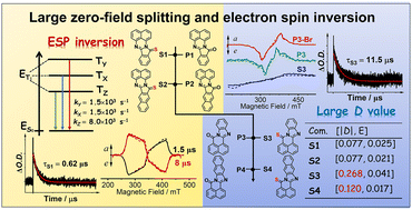 Graphical abstract: Intersystem crossing and spin dynamics of thionated perinones: combined steady-state/transient optical and electron paramagnetic resonance spectral analysis