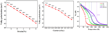 Graphical abstract: Tunable ferrovalley semiconductors of Janus VSeCl and VSeBr