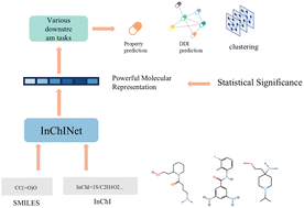 Graphical abstract: InChINet: a self-supervised molecular representation learning framework leveraging SMILES and InChI
