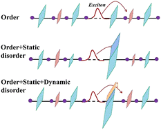 Graphical abstract: Impacts of static and dynamic disorders on intramolecular exciton transport in organic solar cells