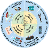 Graphical abstract: Physicochemical, polymeric and microbial modifications of wood toward advanced functional applications: a review