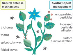 Graphical abstract: Turning over a new leaf: innovative pest control from a materials science perspective