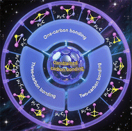 Graphical abstract: Constrained carbon bonding inside fullerene cages