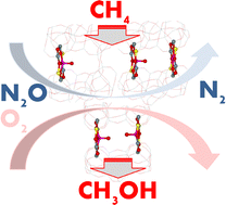 Graphical abstract: Alpha oxygen – a unique oxidation active site from a quantum chemical viewpoint