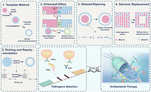 Graphical abstract: Hollow micro-/nanostructures for enhanced pathogen theranostics