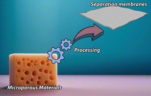 Graphical abstract: Processable microporous membranes: emerging platforms for separation technologies