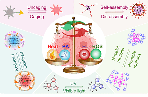 Graphical abstract: Construction of smart switchable nanoplatforms for adaptive phototheranostics
