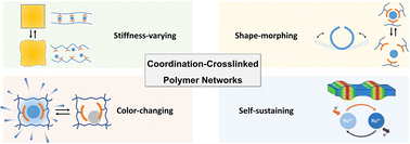 Graphical abstract: Engineering coordination bonds for bioinspired responsive polymers