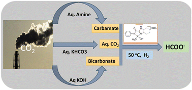 Graphical abstract: Hydrogenation of CO2 into formate using an iridium catalyst containing proton-responsive imidazoline–amide ligands