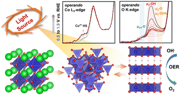 Graphical abstract: Elucidation of the factors governing the oxygen evolution reaction in Ba0.5Sr0.5CoxFe1−xO3−δ catalysts via operando hard and soft X-ray absorption spectroscopy