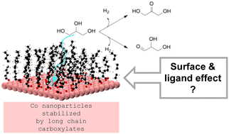 Graphical abstract: Role of long-chain carboxylate ligands in glycerol dehydrogenation catalyzed by Co decorated nanoparticles