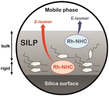 Graphical abstract: Influence of the supported ionic-liquid layer thickness on Z-selectivity in 1-alkyne hydrosilylation under continuous flow
