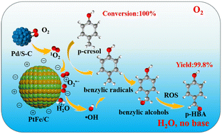 Graphical abstract: Synergistic catalysis of interlayer-ordered PtFe nanoalloy and Pd nanoparticles: high-efficiency oxidation of p-cresol to p-hydroxybenzaldehyde under base-free conditions