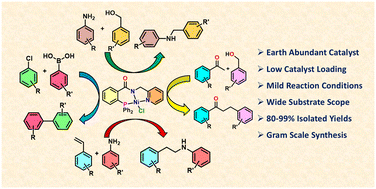 Graphical abstract: Multifunctional PNN-NiII pincer catalyst for C–C and C–N bond formation via alkylation, cross-coupling, and hydroamination reactions
