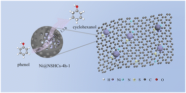 Graphical abstract: Optimization of S/N co-doped hollow carbon nanospheres encapsulating Ni NPs for enhanced phenol hydrogenation performance