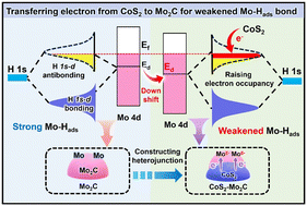 Graphical abstract: Directional electron transfer from CoS2 to Mo2C for weakening Mo–H bonds toward boosting photocatalytic H2 production